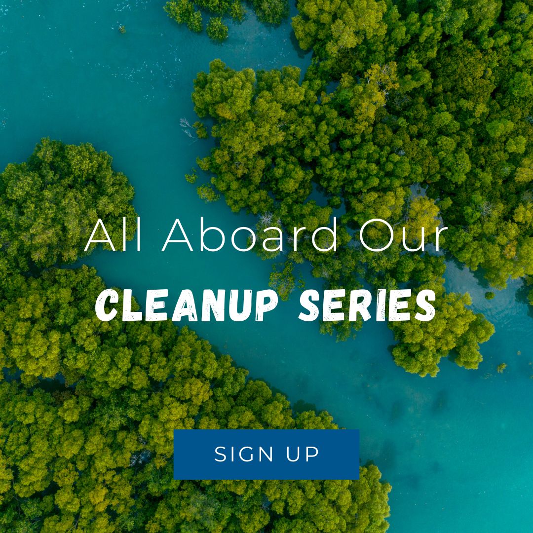 Cleanup Series
